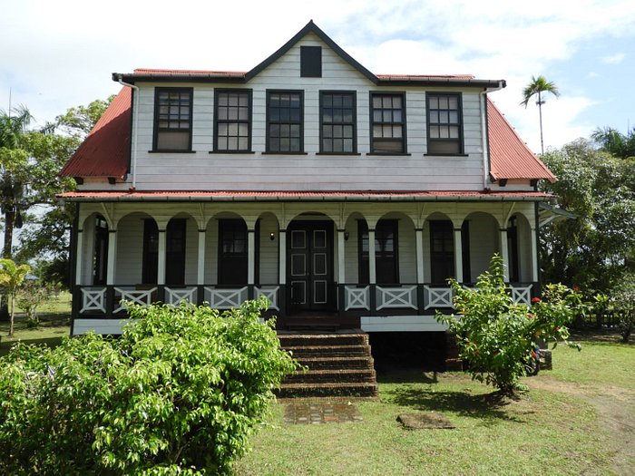 Exploring The Plantations Of Commewijne In Suriname