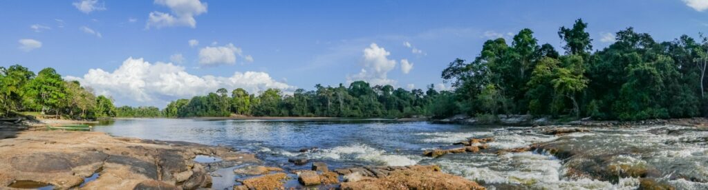 The Climate Of Suriname: What To Expect