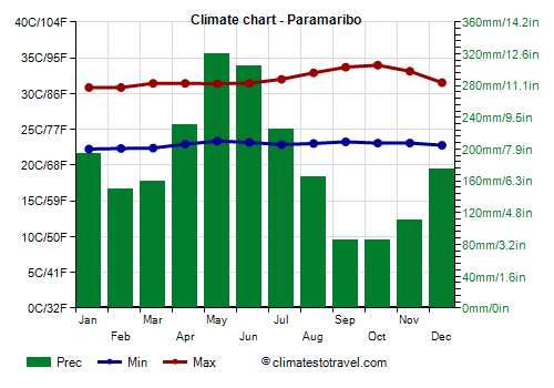 The Climate Of Suriname: What To Expect