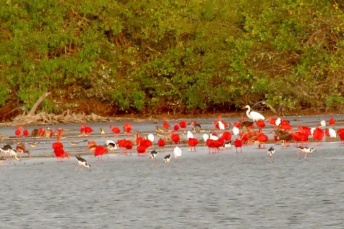 The Bigi Pan Nature Reserve: A Birdwatchers Paradise