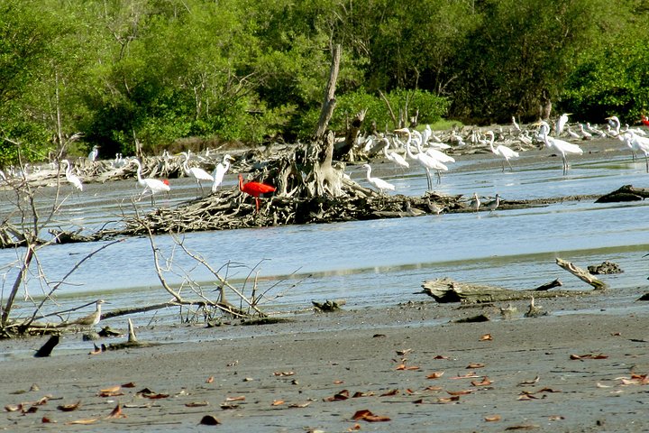 The Bigi Pan Nature Reserve: A Birdwatchers Paradise