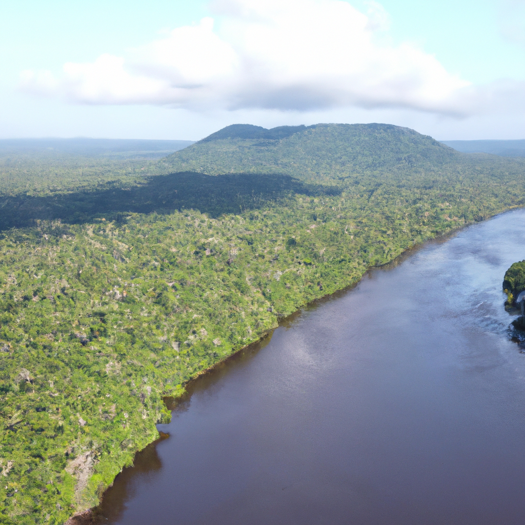 Unveiling The Plant And Animal Life Of The Amazon Rainforest In Suriname