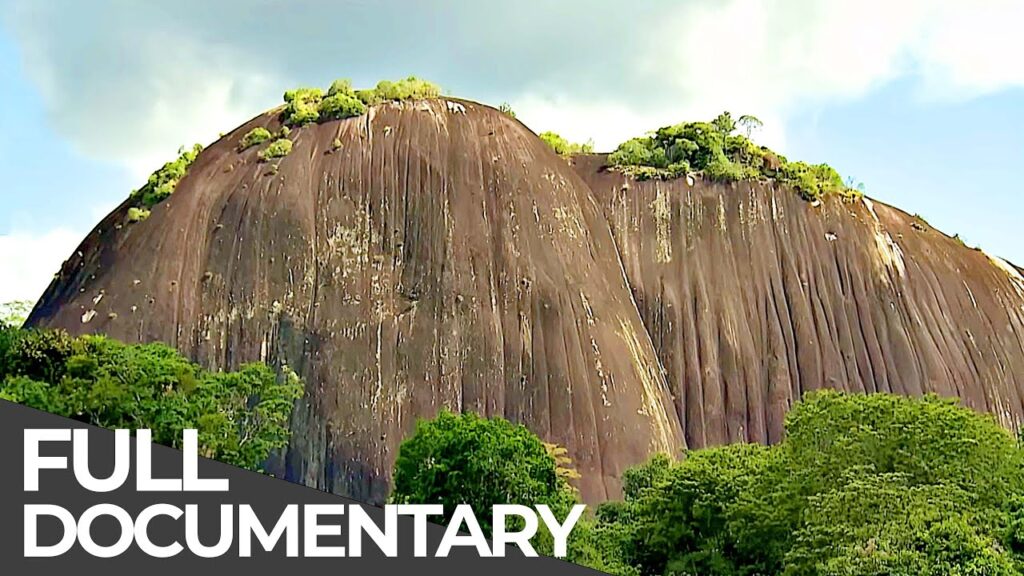 Amazing Quest: Stories from Suriname | Somewhere on Earth: Suriname | Free Documentary